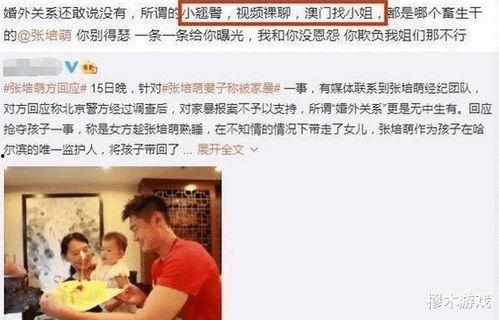 马小跳老婆爆料视频播放,揭秘背后真相