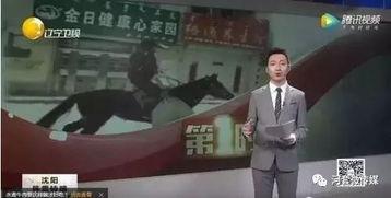 小马哥爆料视频大全最新,揭秘娱乐圈幕后真相