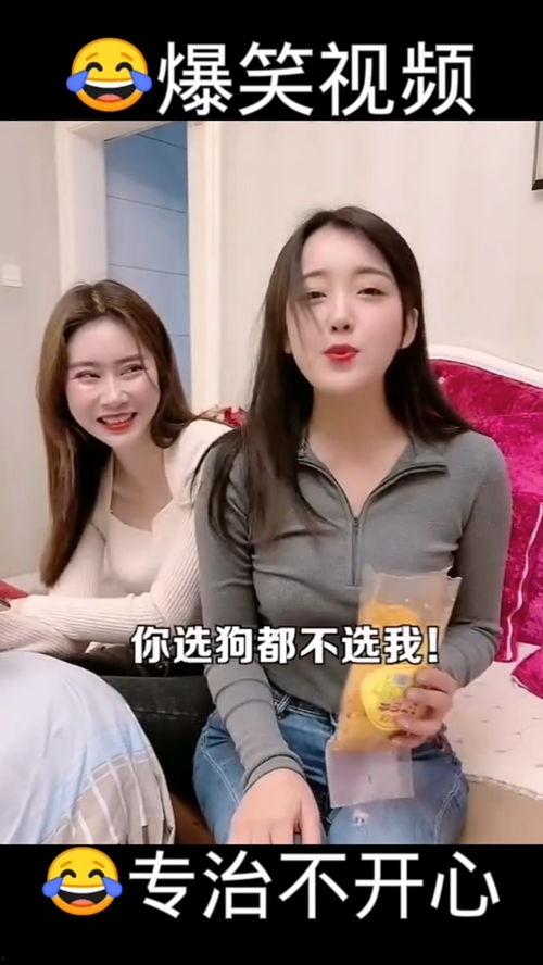 爆料哈哈的视频大全在线观看,海量搞笑瞬间,在线观看乐翻天 第1张 爆料哈哈的视频大全在线观看,海量搞笑瞬间,在线观看乐翻天 第1张