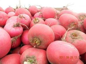 东北网红大瓜都有谁吃,揭秘那些被“瓜分”的明星与网红 第1张 东北网红大瓜都有谁吃,揭秘那些被“瓜分”的明星与网红 第1张